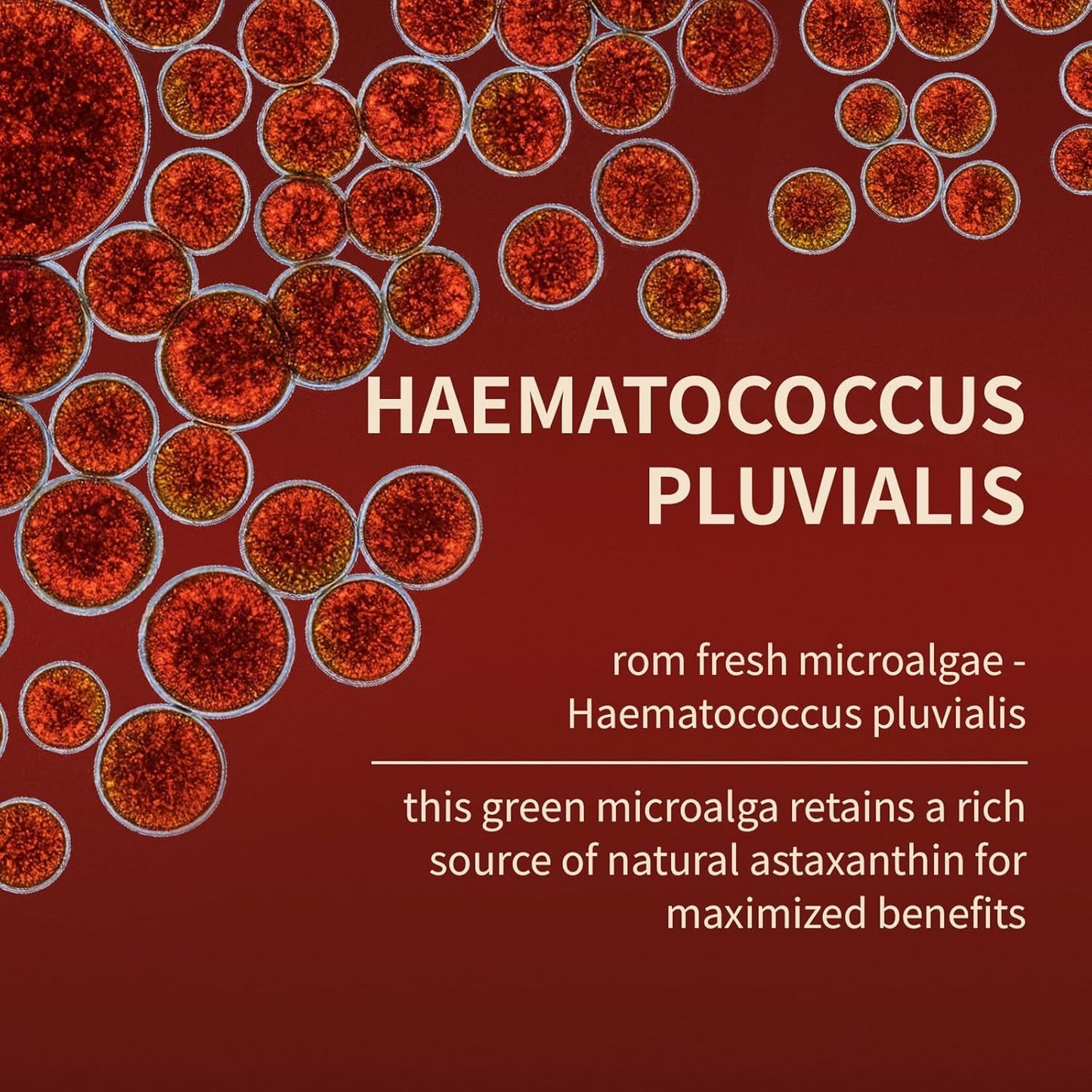 Astaxanthin 12mg Tanning Pills, Organic Astaxanthin Antioxidant Supplements for Tanning, Skin, Eye, Joint Health, 120 Softgels