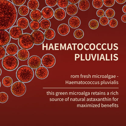 Astaxanthin 12mg Tanning Pills, Organic Astaxanthin Antioxidant Supplements for Tanning, Skin, Eye, Joint Health, 120 Softgels